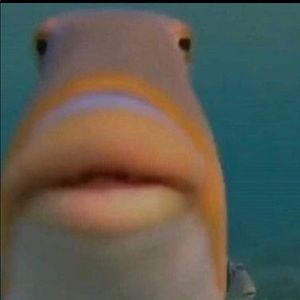 Meet your Posher, Caleb